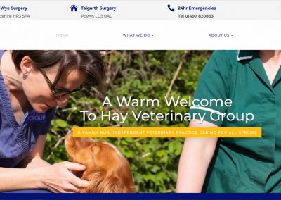 Hay Veterinary Group